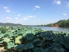 -新丰小吃(中山中路分店)