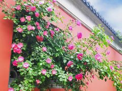 -南京市无想山景区