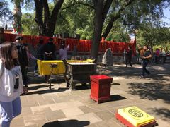 -大槐树寻根祭祖园