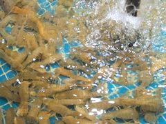 -和源祥·日照菜扛把子(万平口一店)