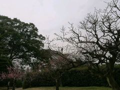 -名古屋城