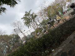 -观澜湖生态运动公社