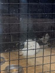 -酷嗒动物文化乐园(cutezoo西溪乐天城店)