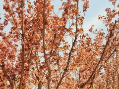-石岛赤山风景区
