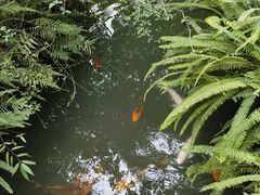 -成都杜甫草堂博物馆