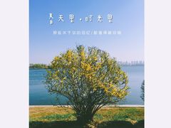 -丁香湖公园