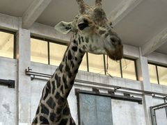 -石家庄市动物园