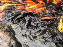 -山海关风景区-售票处