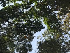 -四川大学(望江校区)