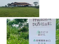-良渚古城遗址公园