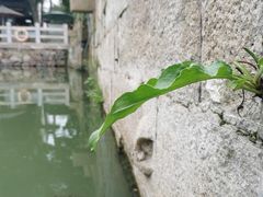 -巡塘古镇