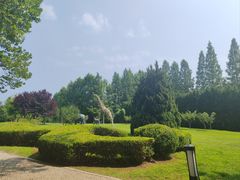 -棒棰岛宾馆景区