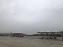 -南大港湿地风景区