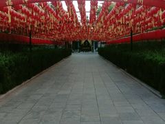 -大槐树寻根祭祖园