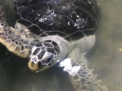 -嘉兴海底世界