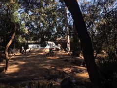 -费瑟代尔野生动物园