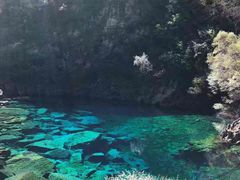 -叠溪松坪沟景区