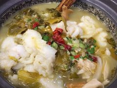 -周鱼小馆石锅酸菜鱼(活力汇店)