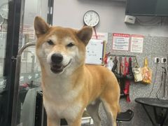 -宠物家(长阳店)