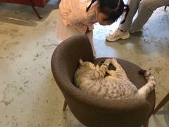 -甲乙丁書店·书茶咖·四合院