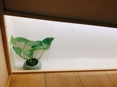 -常乐·对症推拿(深业上城第118分店)