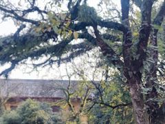 -桂林独秀峰王城景区