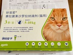 -邢大夫动物医院