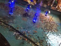 -水晶之星洗浴温泉汗蒸