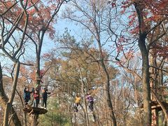 -WeLope紫金山探险公园