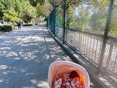 -森林公园(尖草坪区)