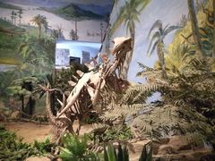 -自贡恐龙博物馆