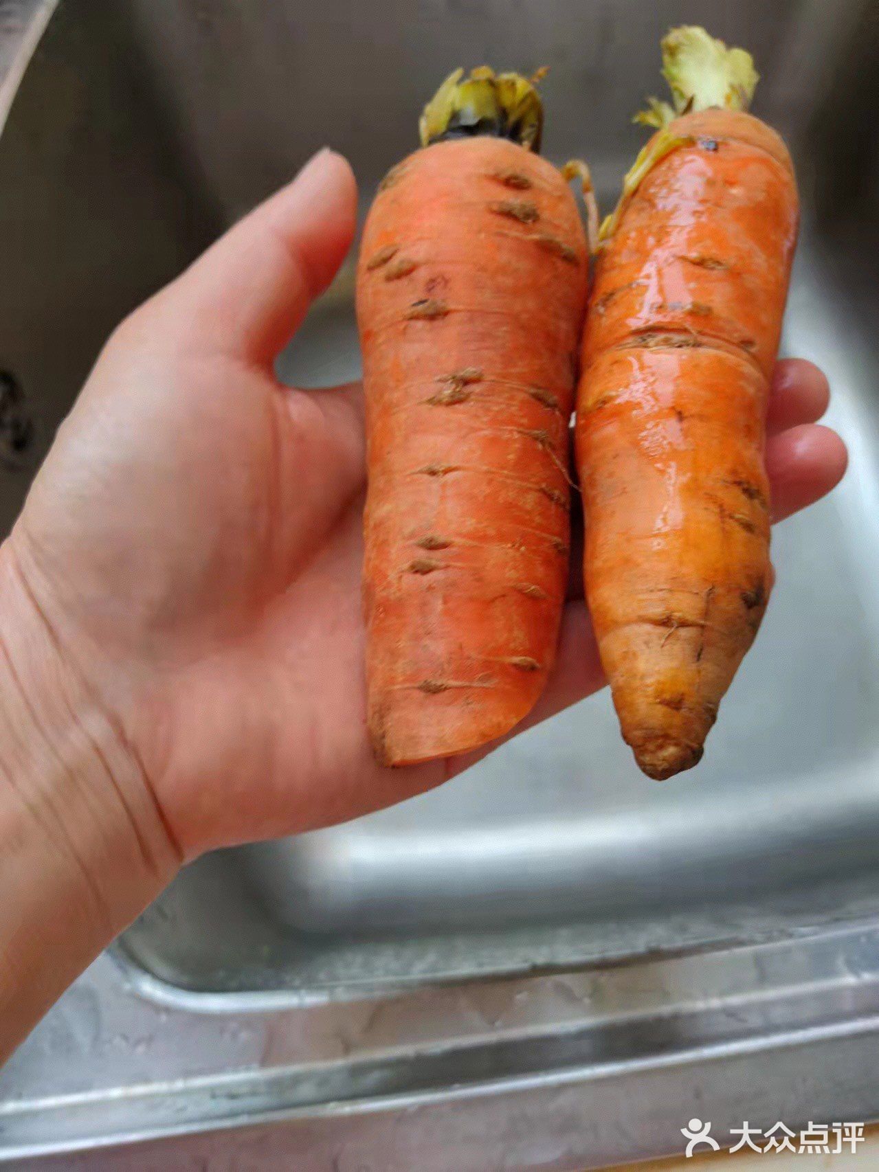 清炖春天菜苔胡萝卜🥕