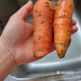 清炖春天菜苔胡萝卜🥕