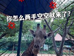 -广州长隆野生动物世界