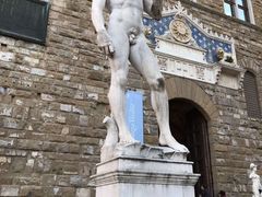 -圣母百花大教堂穹顶