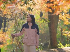 -广州市石门国家森林公园