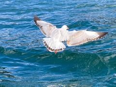 -丽江泸沽湖景区