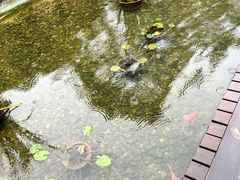 -耕渔小院·湖南鱼鲜(望城店)
