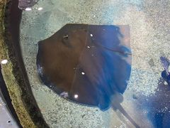 -鸿通城购物中心