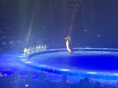 -珠海横琴长隆《卡卡虎奇遇记》