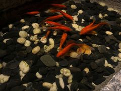 -汤家茗苑·精致私房菜(白沙店)