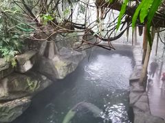-青青世界