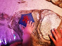 -沈阳海洋探索中心