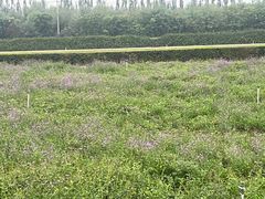 -君乐宝优致牧场