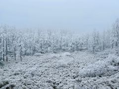 -瓦屋山景区