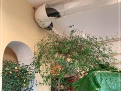 -萤火虫咖啡(后海店)
