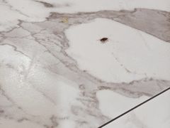 -鹏欣水游城