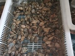 -青岛贝壳博物馆