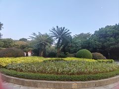 -金花茶公园