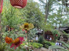 -青城甲(青城山店)